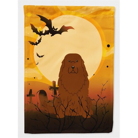 Carolines Treasures Halloween Caucasian Shepherd Dog Flag Canvas House Size BB4316CHF